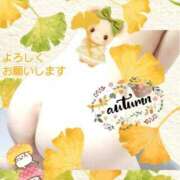 ヒメ日記 2025/11/08 12:20 投稿 まき 尼妻（あまづま）