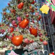 ヒメ日記 2025/11/21 12:58 投稿 まき 尼妻（あまづま）