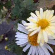 ヒメ日記 2025/12/05 10:59 投稿 まき 尼妻（あまづま）