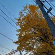 ヒメ日記 2025/12/07 10:20 投稿 まき 尼妻（あまづま）