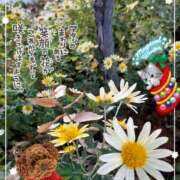 ヒメ日記 2025/12/12 09:41 投稿 まき 尼妻（あまづま）