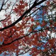 ヒメ日記 2025/12/12 10:44 投稿 まき 尼妻（あまづま）