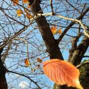 ヒメ日記 2025/12/18 10:51 投稿 まき 尼妻（あまづま）