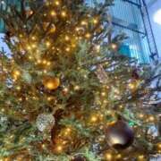 ヒメ日記 2025/12/19 10:42 投稿 まき 尼妻（あまづま）