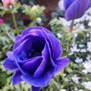 ヒメ日記 2025/12/19 10:56 投稿 まき 尼妻（あまづま）