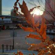 ヒメ日記 2025/12/20 07:50 投稿 まき 尼妻（あまづま）