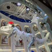 ヒメ日記 2025/12/25 13:39 投稿 まき 尼妻（あまづま）