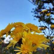 ヒメ日記 2025/12/26 09:55 投稿 まき 尼妻（あまづま）