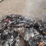 ヒメ日記 2026/01/16 09:46 投稿 まき 尼妻（あまづま）