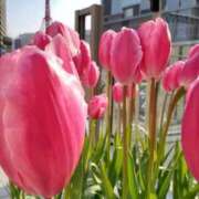 ヒメ日記 2026/01/16 10:31 投稿 まき 尼妻（あまづま）