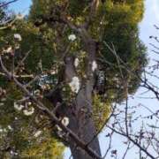 まき (1/16)ଘ(੭„• - •„)੭*感謝τﾞす 尼妻（あまづま）