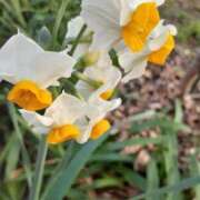 ヒメ日記 2026/01/22 10:12 投稿 まき 尼妻（あまづま）