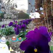 ヒメ日記 2026/01/30 20:02 投稿 まき 尼妻（あまづま）