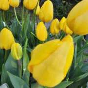 ヒメ日記 2026/02/05 10:27 投稿 まき 尼妻（あまづま）