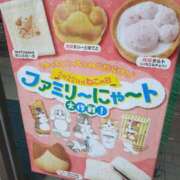 ヒメ日記 2026/02/17 13:36 投稿 まき 尼妻（あまづま）