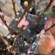 ヒメ日記 2026/02/21 10:11 投稿 まき 尼妻（あまづま）