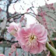 ヒメ日記 2026/02/27 11:38 投稿 まき 尼妻（あまづま）