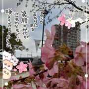 ヒメ日記 2026/03/01 17:02 投稿 まき 尼妻（あまづま）