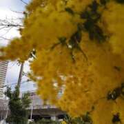 ヒメ日記 2026/03/05 10:01 投稿 まき 尼妻（あまづま）