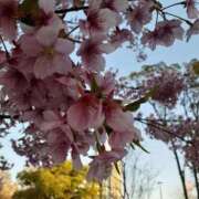 ヒメ日記 2026/03/06 13:03 投稿 まき 尼妻（あまづま）