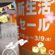 まき (3/6)ଘ(੭„• - •„)੭*感謝τﾞす 尼妻（あまづま）