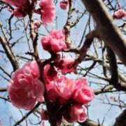 まき おはようございます//出勤予告 尼妻（あまづま）