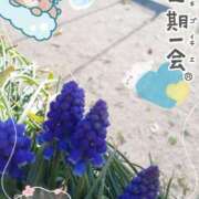 ヒメ日記 2026/03/13 12:22 投稿 まき 尼妻（あまづま）