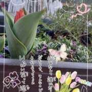 ヒメ日記 2026/03/30 13:40 投稿 まき 尼妻（あまづま）