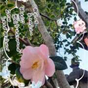 ヒメ日記 2026/04/01 00:02 投稿 まき 尼妻（あまづま）