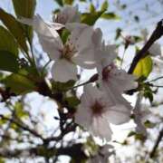 ヒメ日記 2026/04/09 09:30 投稿 まき 尼妻（あまづま）