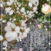 ヒメ日記 2026/04/10 01:27 投稿 まき 尼妻（あまづま）
