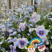 ヒメ日記 2026/04/11 23:54 投稿 まき 尼妻（あまづま）