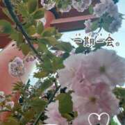 ヒメ日記 2026/04/16 10:44 投稿 まき 尼妻（あまづま）