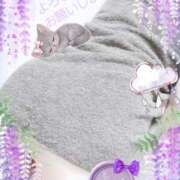 ヒメ日記 2026/04/27 08:53 投稿 まき 尼妻（あまづま）