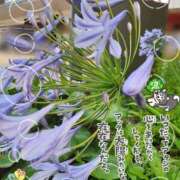 ヒメ日記 2026/06/12 10:30 投稿 まき 尼妻（あまづま）