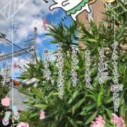 ヒメ日記 2026/08/25 22:06 投稿 まき 尼妻（あまづま）