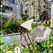 まき (8/25)ଘ(੭„• - •„)੭*感謝τﾞす 尼妻（あまづま）