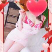 ヒメ日記 2025/02/13 15:41 投稿 坂崎 ANECOTE