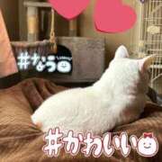 ヒメ日記 2024/09/24 15:59 投稿 せな☆ドＭで美女 LOVEタッチ