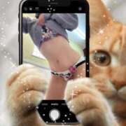 ヒメ日記 2024/12/26 10:27 投稿 みさき 小田原人妻城