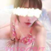 ヒメ日記 2025/09/13 07:35 投稿 みさき 小田原人妻城