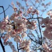 ヒメ日記 2025/03/23 22:16 投稿 ちなつ ラブライフ所沢川越