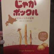 志乃 こんにちは！ 高津角えび