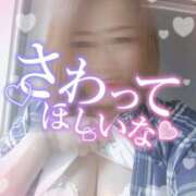 ヒメ日記 2025/06/05 17:08 投稿 唯 高津角えび