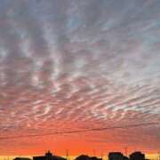 ヒメ日記 2025/09/23 07:48 投稿 あやか 高津角えび