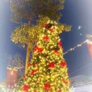 ヒメ日記 2025/12/17 07:48 投稿 あやか 高津角えび