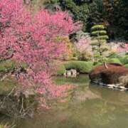 あやか おはようございます😃 高津角えび