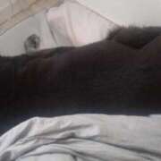 ヒメ日記 2025/06/14 07:48 投稿 よしの 高津角えび