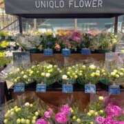 ヒメ日記 2025/06/21 06:28 投稿 よしの 高津角えび