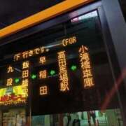 ヒメ日記 2025/07/17 07:18 投稿 よしの 高津角えび